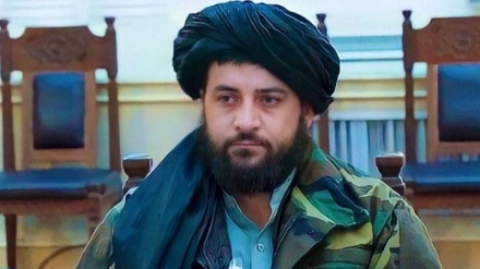 وزیر دفاع طالبان از دیدار با حنا ربانی خودداری کرد