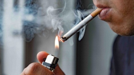 WHO；たばこ産業の環境への影響は「衝撃的」 