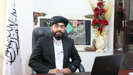توقف فعالیت نمایندگی‌های بیمه ایران برای متقضیان روادید در هرات 