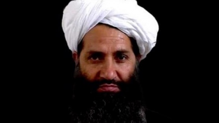 تاکید طالبان بر رعایت عفو عمومی از سوی اعضای این گروه در افغانستان