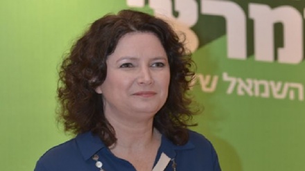 מיכל רוזין: אעשה הכל לשכנע את זועבי לחזור בה מהפרישה מהקואליציה