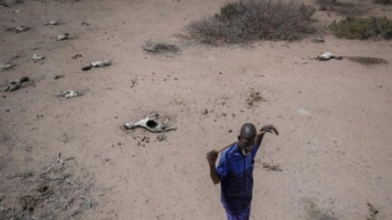 Watu 200,000 wapo katika hatari ya kufa njaa nchini Somalia