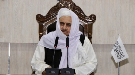 نامه طالبان به دانشگاهها: از زندگی شخصی استادان تحقیق شود