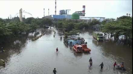 Banjir Rob, Pesisir Semarang Tergenang Air