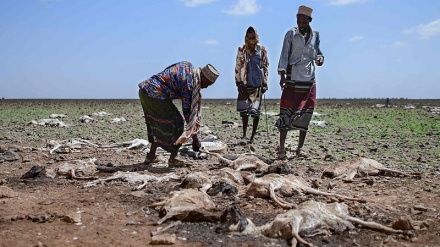 Oxfam: Ukame unatishia maisha ya maelfu ya watu barani Afrika
