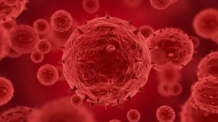 L’OMS, allarme su aumento casi Vaiolo delle scimmie
