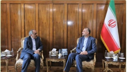 ملاقات سفیر ایران در تاجیکستان با وزیر امورخارجه ایران