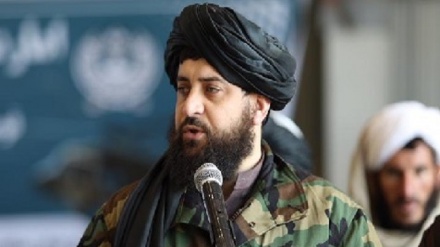 وزیر دفاع طالبان: نمی خواهیم استقلال افغانستان از دست برود