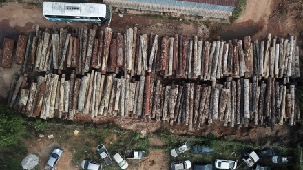 Brazil's Amazon deforestation hits April record, nearly double previous peak