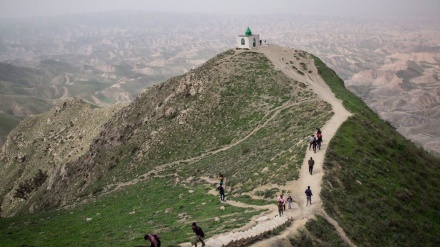 Japanese tourists visit Iran after a two-year slump in arrivals