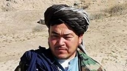 بازداشت یک فرمانده ازبک تبار طالبان در سمنگان