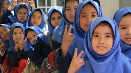 52.7万外国学生在伊朗接受教育