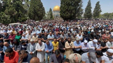 20万巴勒斯坦人参加阿克萨清真寺开斋节会礼