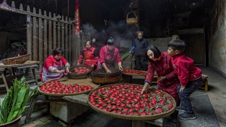 Fituesit e konkurrencës së fotografive të ushqimit në vitin 2021