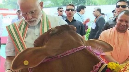 आरएसएस के वरिष्ठ अधिकारी का बयान, देश में मांसाहार पर प्रतिबंध नहीं लगना चाहिए