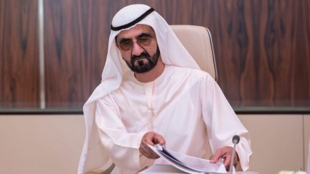  محمد بن زاید رئیس امارات شد