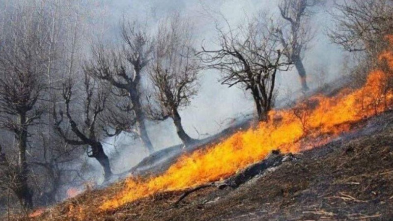 مقامات محلی طالبان: آتش در جنگل های نورستان مهار شده است