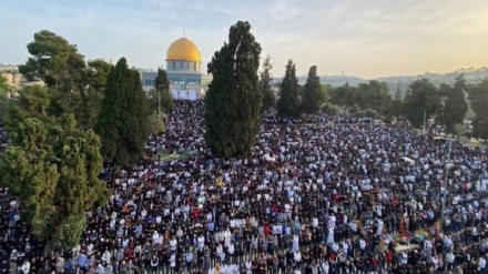 חג הפיטר בפלסטין: כ-200 אלף מתפללים נכחו במסגד אל אקצא