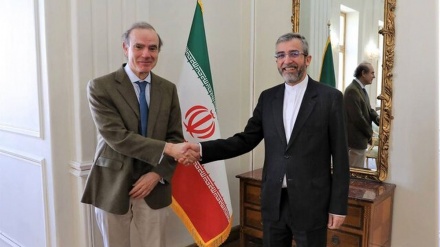 Vazhdojnë bisedimet mes Enrique Mora Ali Bagheri Kani