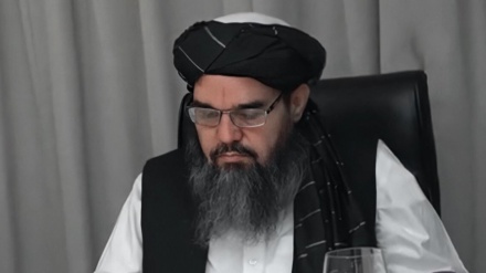 طالبان: کمیسیونی برای برگزاری لویه جرگه ایجاد می شود