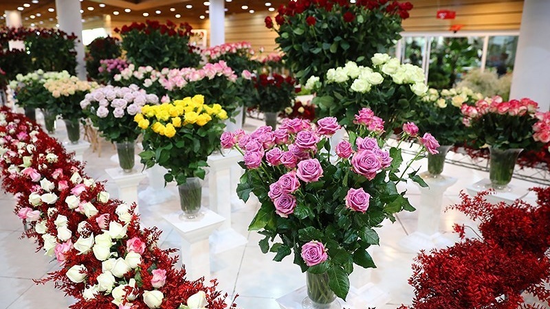 德黑兰举办第十八届国际花卉植物展