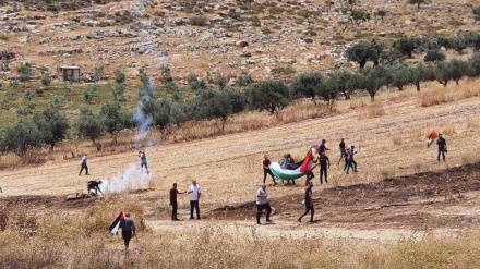 Nearly 90 Palestinians injured in clashes with Israeli forces in Nablus 