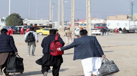 ثبت نام جدید اتباع افغانستانی فاقد مدرک در طرح سرشماری/ سرشماری تا ۱۷ جوزا ادامه دارد
