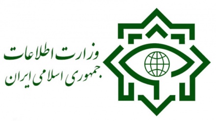 وزارت اطلاعات ایران: انتشار برخی شایعات علیه اتباع افغانستانی در فضای مجازی صحت ندارد
