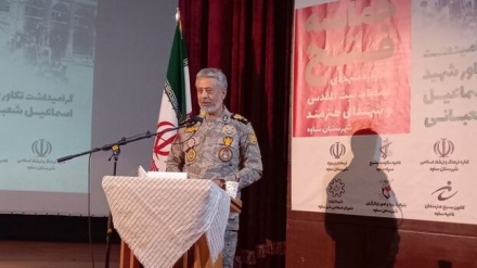 萨亚里海军准将：伊朗海军的实力使海盗不敢猖獗
