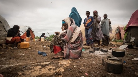 Indhari ya Umoja wa Mataifa kuhusu mgogoro mkubwa wa chakula Afrika