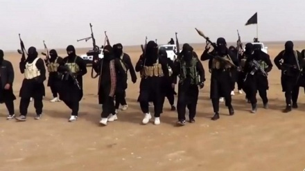 דאעש קיבל אחריות על תקיפה בצפון חצי האי סיני בה נהרגו חיילים מצריים