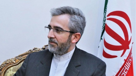 伊朗副外长：消除制裁影响是伊朗战略