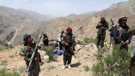 منابع محلی: 7 کشته و زخمی نیروهای طالبان در درگیری با جبهه پنجشیری ها