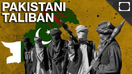 Зардари Ауғанстандағы Талибан үкіметімен әріптестік жасау қажеттігін қуаттады