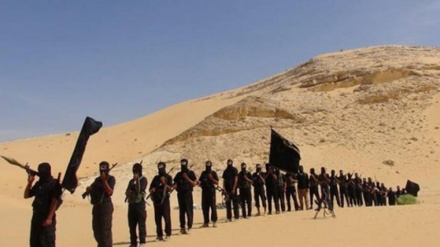 דאעש נטל אחריות על התקיפה בחצי האי סיני אתמול