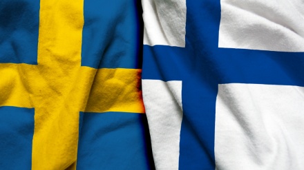  Finland, Sweden to buy weapons after applying for NATO membership 
