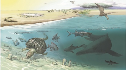 Sulle Alpi i fossili di tre antichi rettili marini giganti