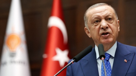 Turkey: Erdogan says Sweden, Finland ‘harboring terrorists’, opposes NATO bid 