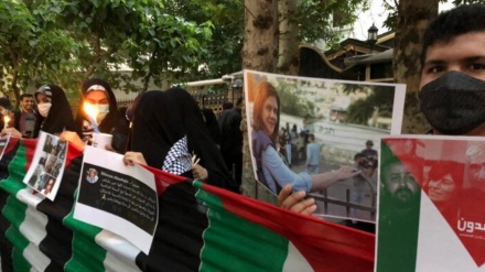德黑兰民众悼念被犹太复国主义军队杀害的半岛电视台记者阿克勒声援巴勒斯坦人民