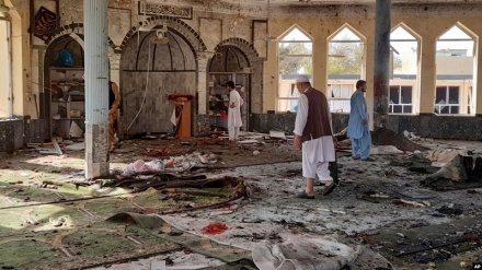 محکومیت کشتار شیعیان در افغانستان