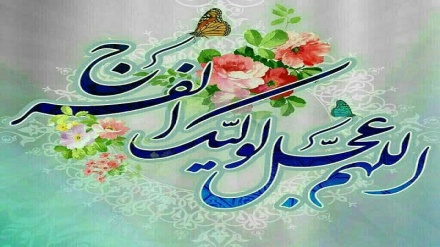 Tosə Zuhuri Cımə-102