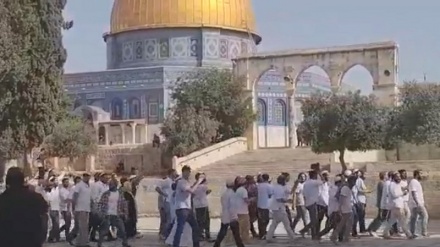 Gerusalemme, le forze sioniste assaltano la moschea al-Aqsa