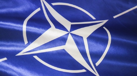  Kremlin: Ukraine’s ambition to join NATO poses security threat to Russia 