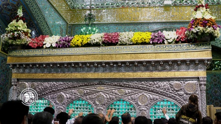 گل‌آرایی حرم امام رضا (ع) با 300 هزار شاخه گل اهدایی