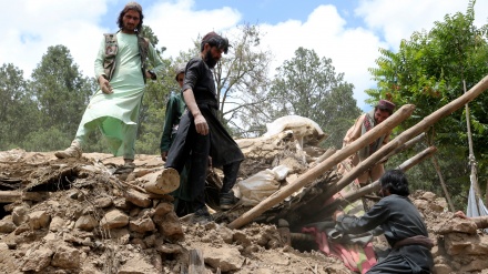 Më shumë se 3500 të vdekur dhe të plagosur nga tërmeti në Afganistan