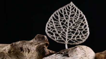 Ottenuta plastica green simile al Pet dagli scarti delle piante