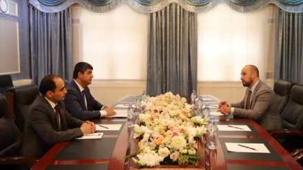 تاجیکستان و شرکت مالی بین المللی درتلاش برای توسعه روابط