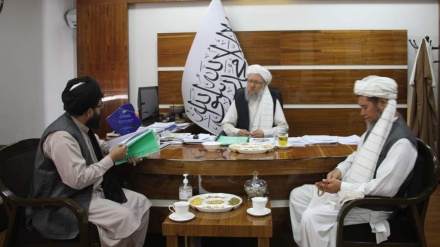 حنفی در واکنش به درگیری های بلخاب: به هیچ فردی اجازه فتنه افکنی نمی‌دهیم