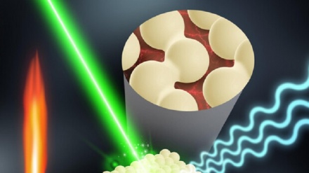 Nano-sensore riconosce i pesticidi sulla frutta in 5 minuti