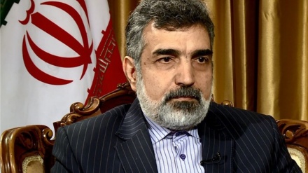 Kemalvendi, Uluslararası Atom Enerjisi Ajansı Genel Müdürü'nü uyardı